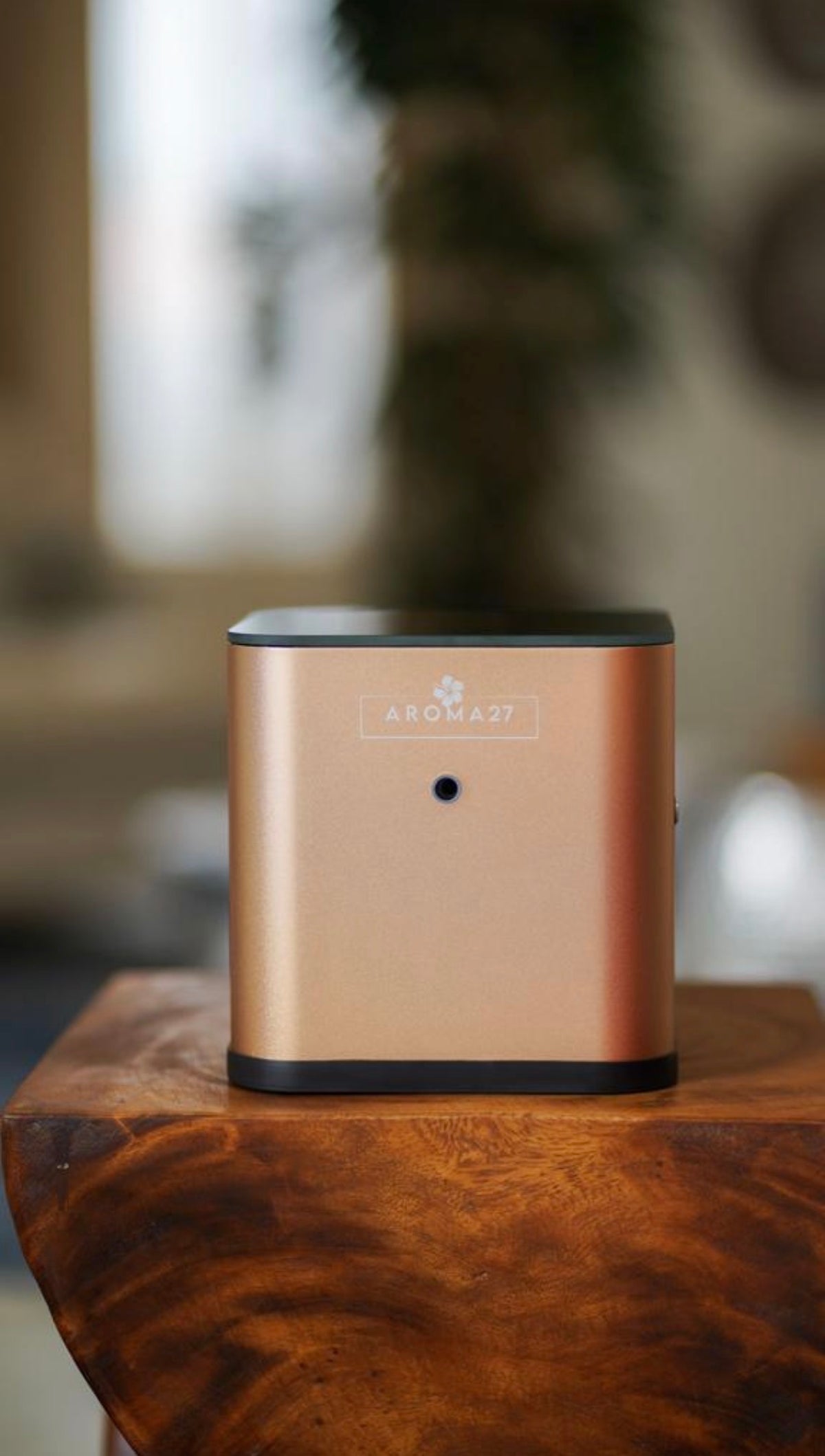 Diffuser Oil  Block Gold